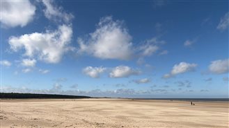 From The President's Desk