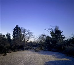 New Year Message & Call to Action