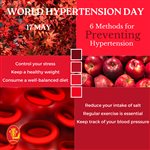 World Hypertension Day: 17 May